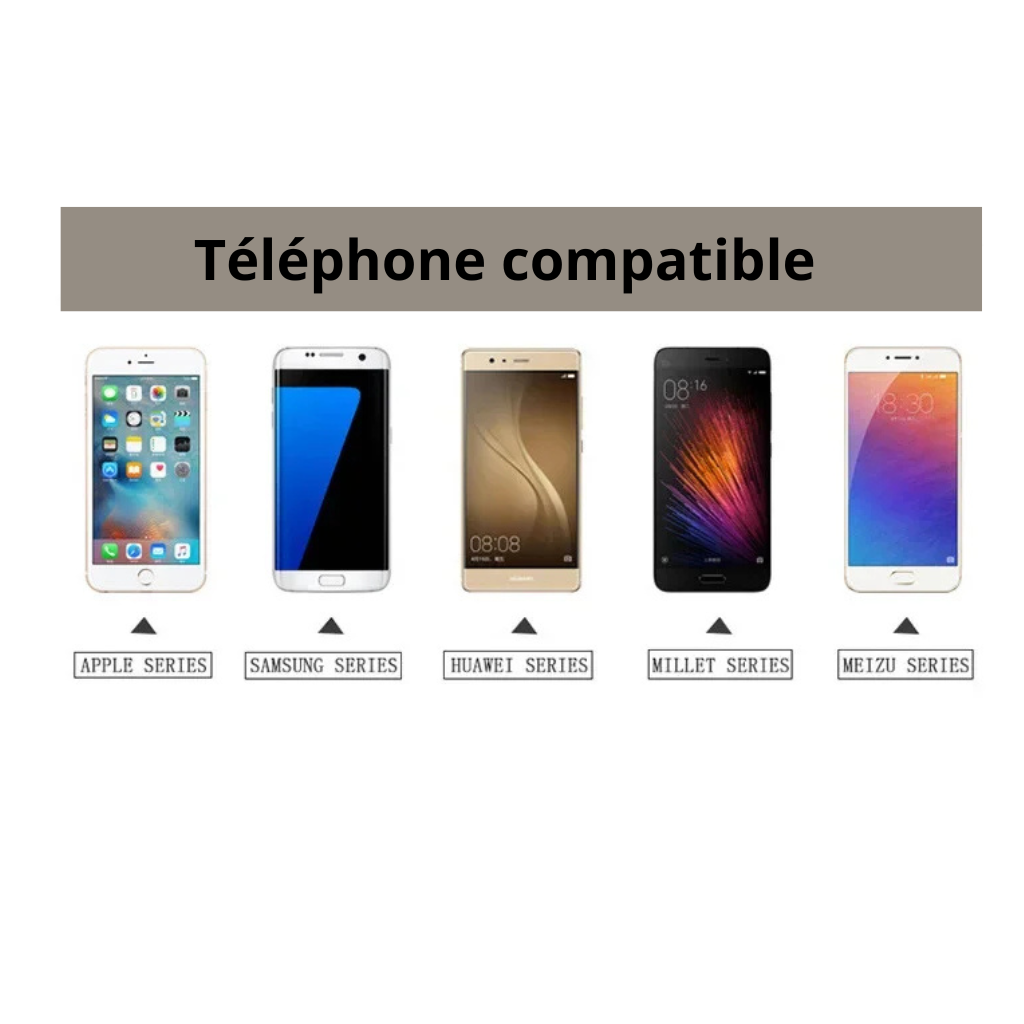 Mini sacs en cuir pour téléphone